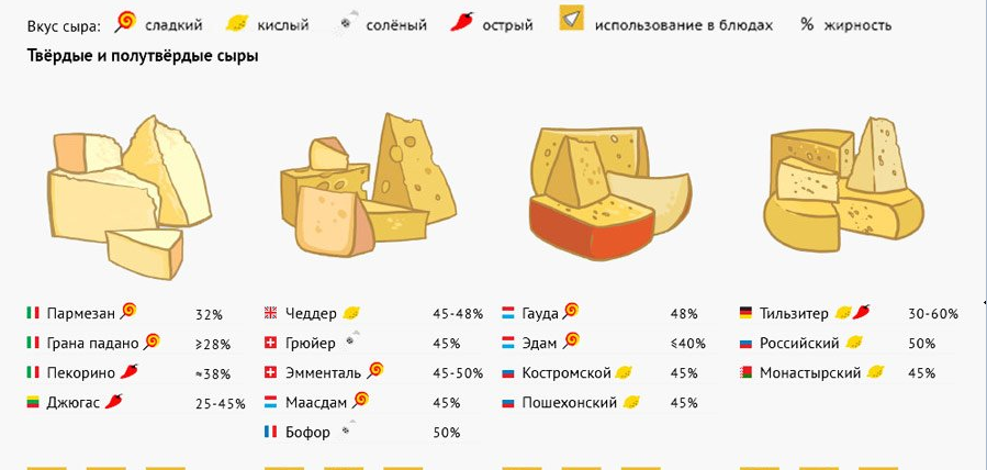 Виды сыра и вкусы