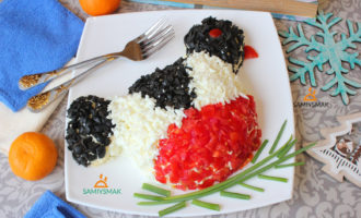 салат снегирь рецепт с фото. Смотреть фото салат снегирь рецепт с фото. Смотреть картинку салат снегирь рецепт с фото. Картинка про салат снегирь рецепт с фото. Фото салат снегирь рецепт с фото салат снегирь рецепт с фото. Смотреть фото салат снегирь рецепт с фото. Смотреть картинку салат снегирь рецепт с фото. Картинка про салат снегирь рецепт с фото. Фото салат снегирь рецепт с фото